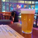 진도호시 이미지