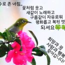 개별넘버/개인용달,차고지,인허가/라보/마이티 메가, 덤프 프리마/카고/냉동/윙바디/냉동탑차 전국 최고가 매입합니다. 이미지