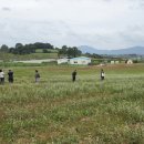 무장농협하나로마트 이미지