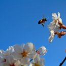 문화초등학교 이미지