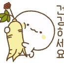 펫트러스트 이미지