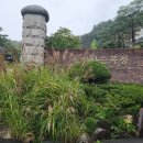 청성목장 이미지