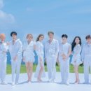 정도 K타이거즈 태권도 네이버블로그