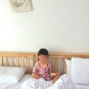 양양 지오펜션파인트리 재방문!? 장단점 공유