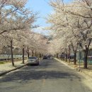 보경사 입구 이미지