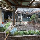 소나무집 이미지