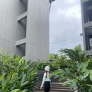 HOTEL여기어때백운점 | 끄라비 신상호텔 추천 바라나 호텔 끄라비 (Varana Hotel Krabi) 수영장 이용후기