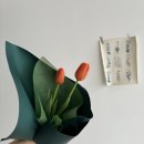 플로라모르스튜디오 | [익산]감성 꽃집 "플로라모르 스튜디오" 미니꽃다발 후기