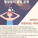 목동 탈모케어 30후반 여성 잦은 염색과 펌으로 인한 헤어라인 탈모 케어 후기 ( 2개월 )