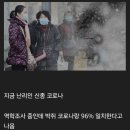 新種 corona virus 이미지