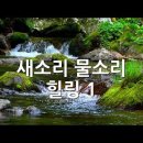 새소리 물소리 Daum카페