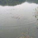 카페밑