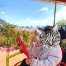 을숙도자전거문화체험협동조합 이미지