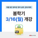최선어학원