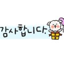 엘로이즈캔들