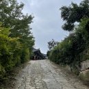 짬사부 | 20251003~20251004 용연사 템플스테이 후기(요약있음)