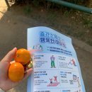 성포경로당 | 만들기 주민공모사업_아파트공동체 공감활동 분야 성포주공10단지아파트입주자대표회의 세대공감 나눔축제