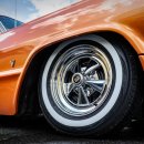 타이어사자 이미지