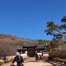라온 Daum카페