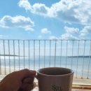 일주서로 | 제주도 여행 제주투어패스 코스 깡통열차 서귀피안베이커리 오늘은녹차한잔 족욕 카트 레이저서바이벌...