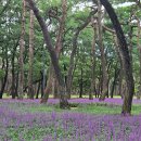 경주축구공원주차장 이미지