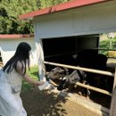 준엽목장 이미지