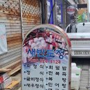 새반도정 이미지