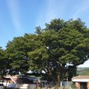 원용복마을 이미지