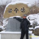 영광이네 이미지