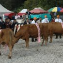 주흘문화센터 이미지