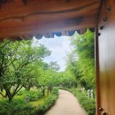 호암미술관 희원 산책 후기｜계절마다 다시 찾고 싶은 산책하기 좋은 정원