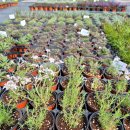 수산나농장 이미지