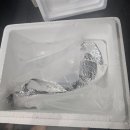 버미 축산프라자