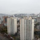 서수원푸르지오공인중개사사무소 | 대연힐스테이트푸르지오아파트 공인중개사 매물 투어 후기