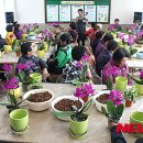 여삼리마을회관 이미지