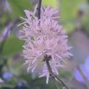 나무커피 이미지