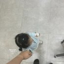 14개월 아기 폐렴 광명 아이원 병원 다인실 / 1인실 입원후기