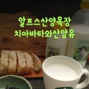 이벤트가있는 산양유,산양유요구르트,치아바타(미쉘맘님) 이미지