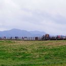 웰빙한우 이미지