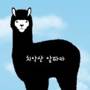 70-2대대(25사 신교대) | 사회복무요원 훈련소 후기 훈련과정 공익 훈련소 준비물