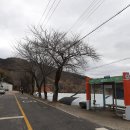 용심농장 Daum카페