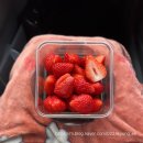 [부산/힐링여행] 25.05.01 - 25.05.03 | 우당탕탕 부산일기