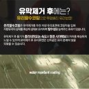 군산출장세차