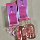 GS25 하단낙동점 이미지