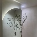 슈가 - 기장군 해빛6로 85-8 | [내돈내산] 신림 나나왁싱 솔직 리뷰! 첫 팔 슈가왁싱 후기 !