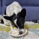 간식세끼 이미지