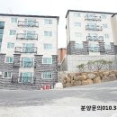 오포 생활체육공원 축구장 이미지