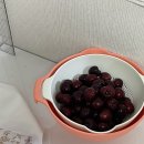 7/25 - 31, K며느리 로 시작해서 K딸내미 로 마무리 한 일주일