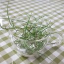 초당태권도장 이미지