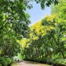 노을공원가로수길 이미지